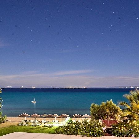 Kopsis Beach Hotel بيفكوهوري المظهر الخارجي الصورة